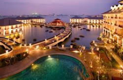 �����ς��炲�\��܂�