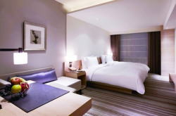 1���l����9���l�܂ł̏��c�̂̍��ې��q�󌔂ƃz�e���I�����C���\��